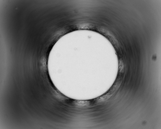 X0000103400670200810241012