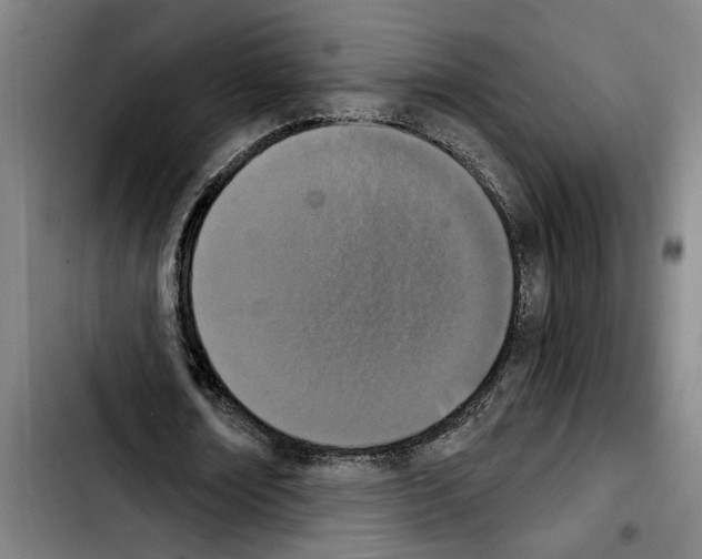 X0000103400674200810241011