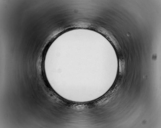 X0000103400675200810241011