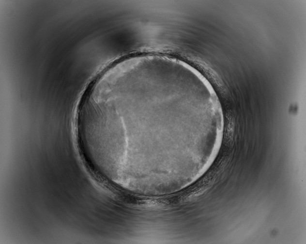 X0000103400678200810241011