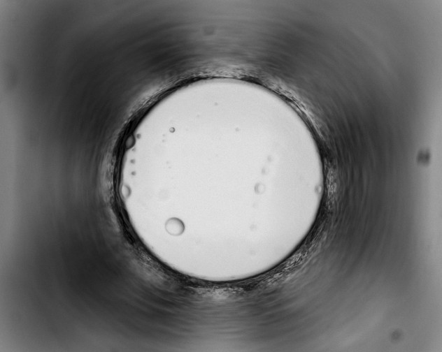 X0000103400679200810241011