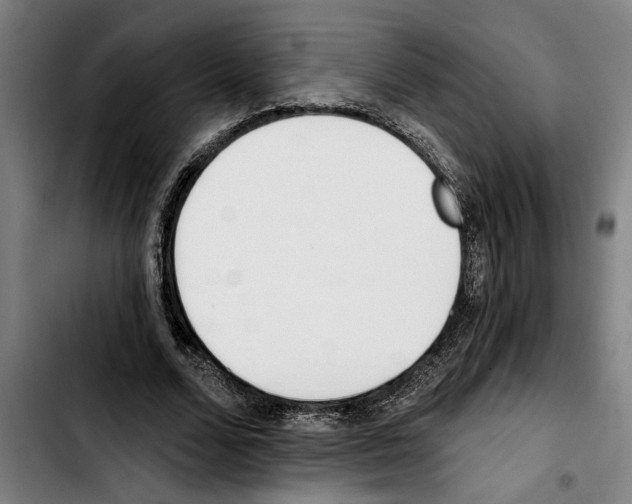 X0000103400680200810241011