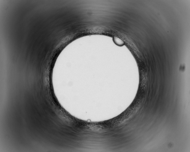 X0000103400681200810241011