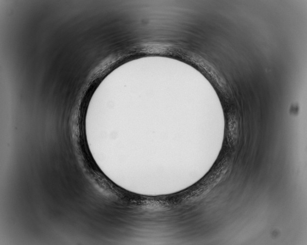 X0000103400682200810241011