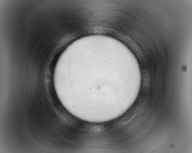 X0000103400683200810241011