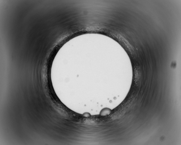 X0000103400684200810241011