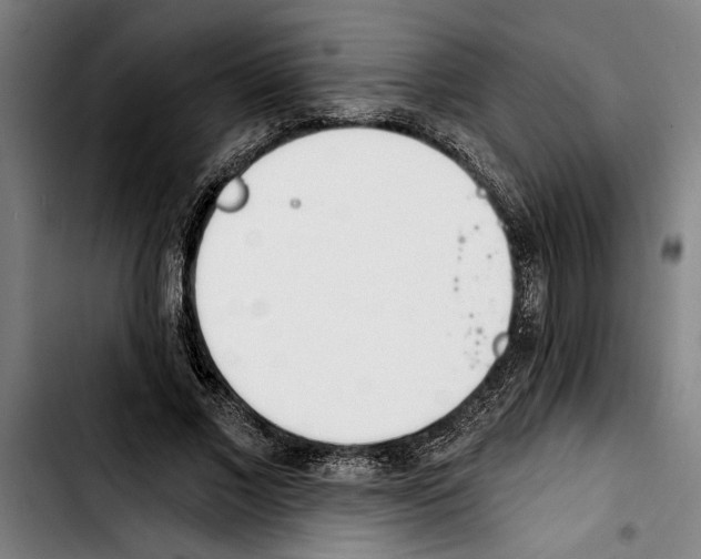 X0000103400685200810241011