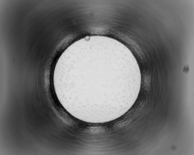 X0000103400686200810241011