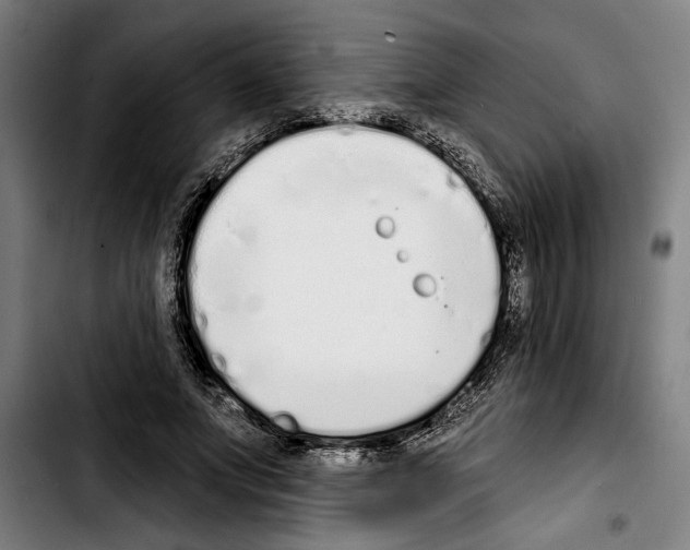 X0000103400687200810241011