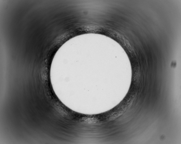 X0000103400689200810241011