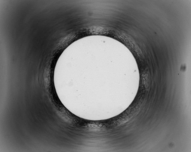 X0000103400690200810241011