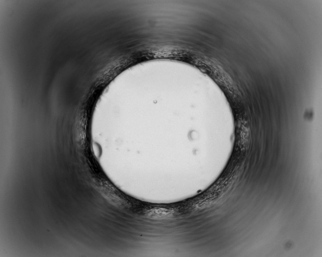 X0000103400691200810241011