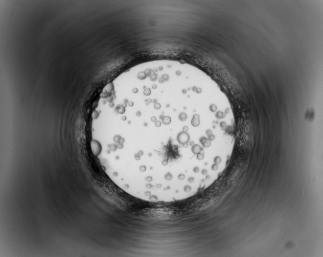 X0000103400692200810241011