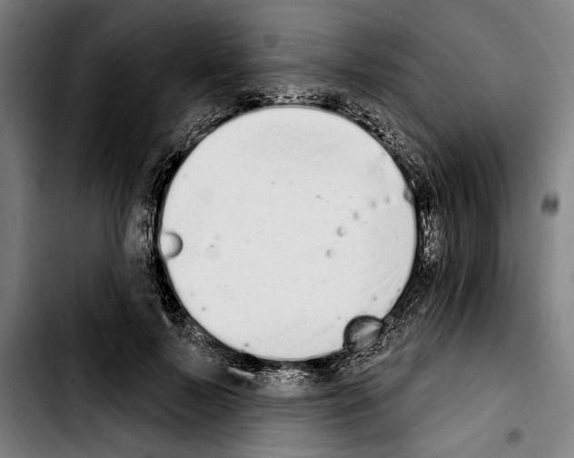 X0000103400695200810241011