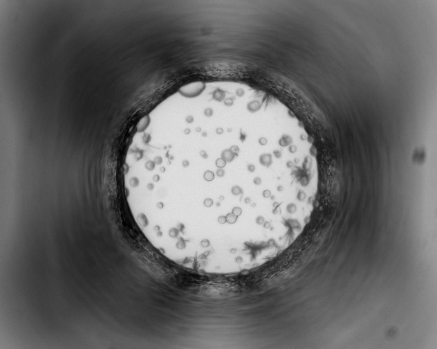 X0000103400696200810241011