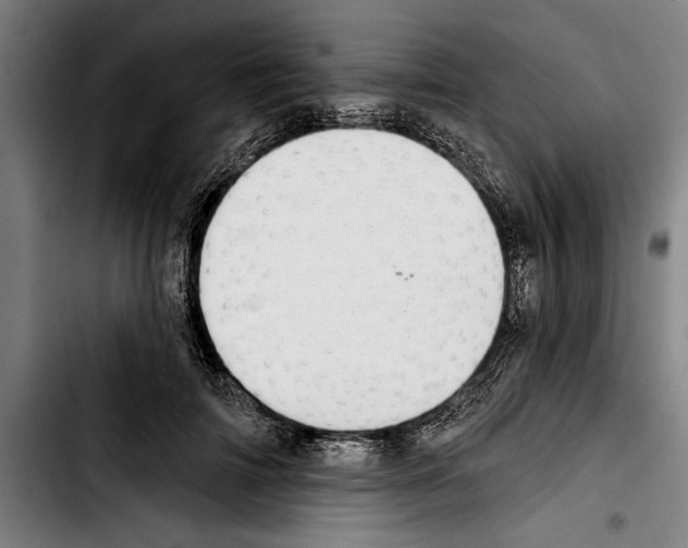 X0000103400698200810241011