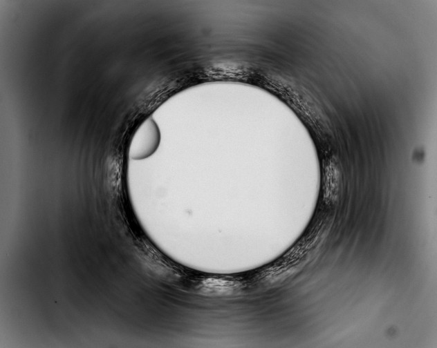 X0000103400699200810241011