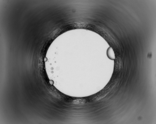 X0000103400700200810241011