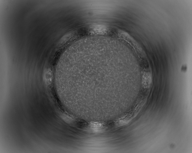 X0000103400701200810241011