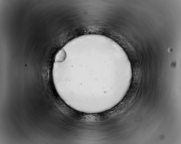 X0000103400703200810241011