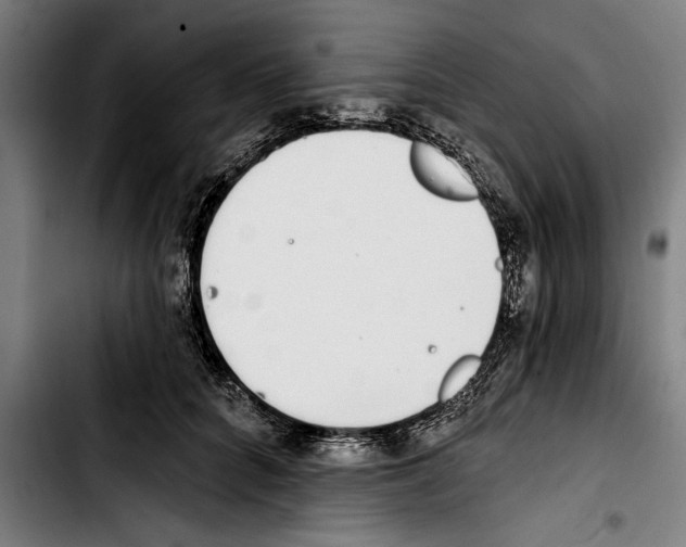 X0000103400704200810241011