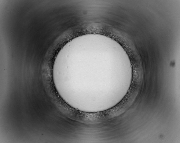 X0000103400705200810241011