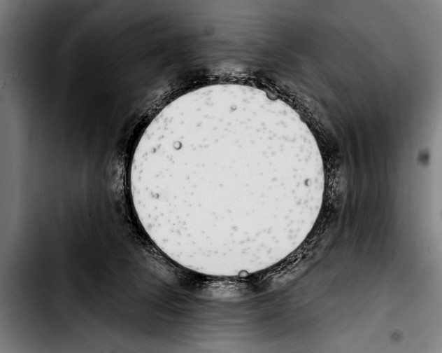 X0000103400708200810241011