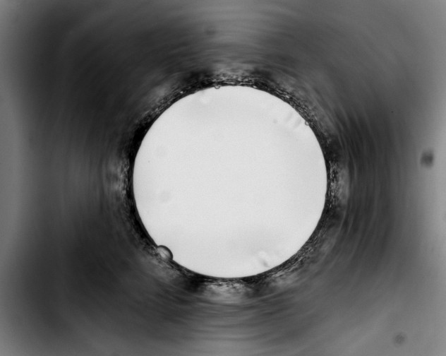 X0000103400712200810241011