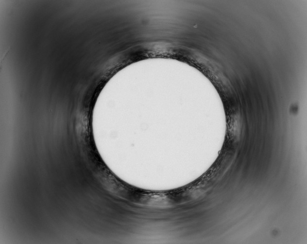 X0000103400715200810241011