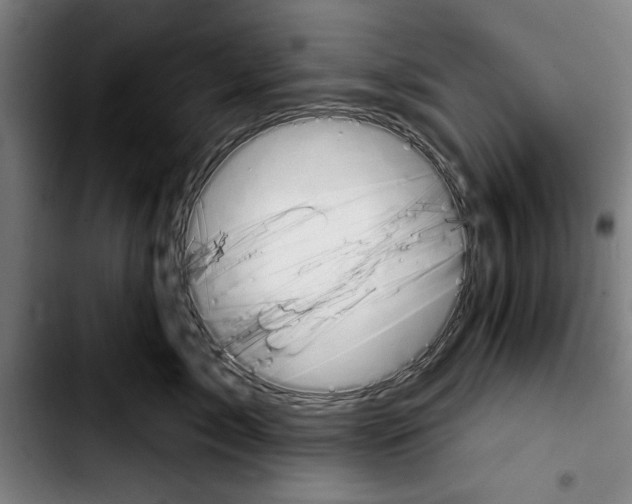 X0000103400717200810241011