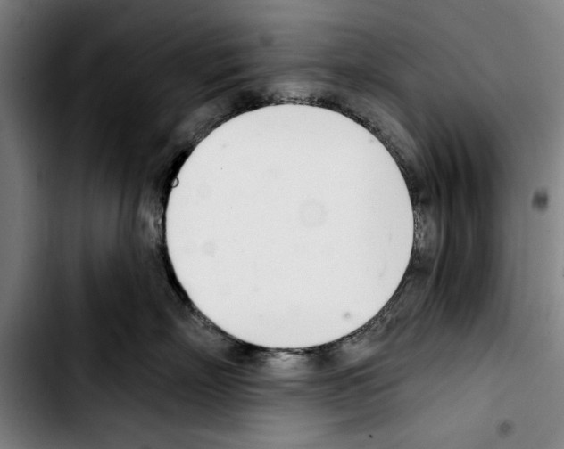 X0000103400718200810241011