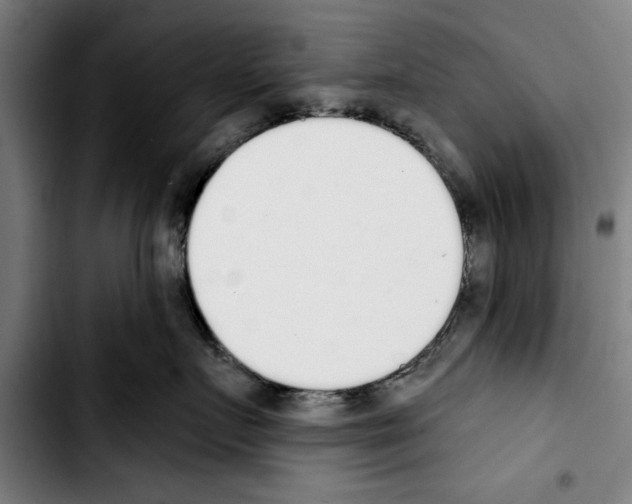 X0000103400719200810241011