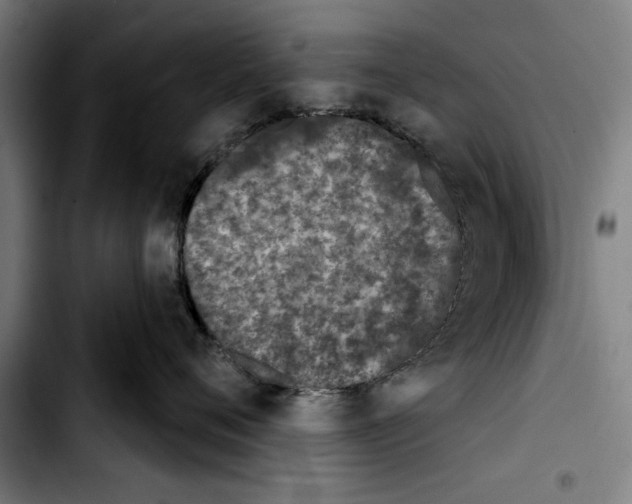 X0000103400720200810241011