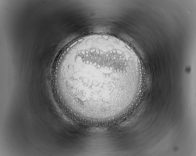 X0000103400721200810241010