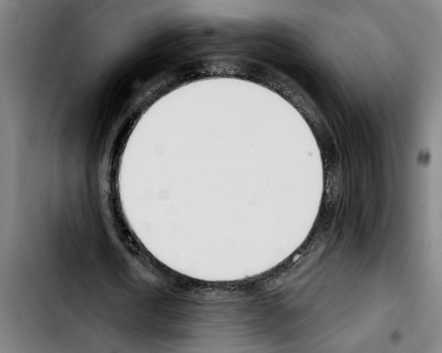 X0000103400722200810241010