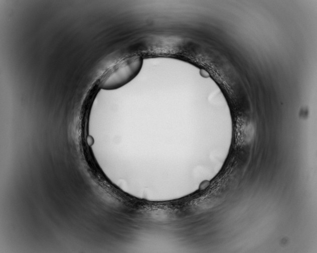 X0000103400726200810241010