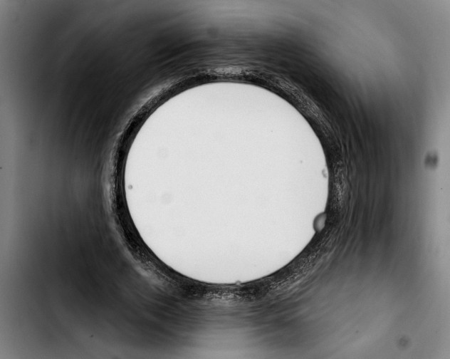 X0000103400728200810241010