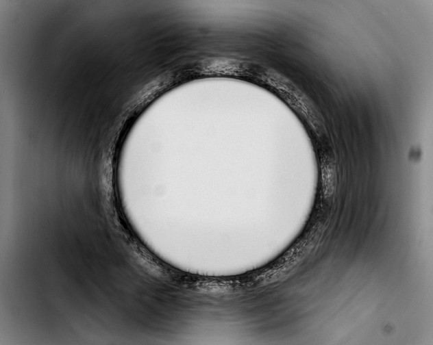 X0000103400729200810241010