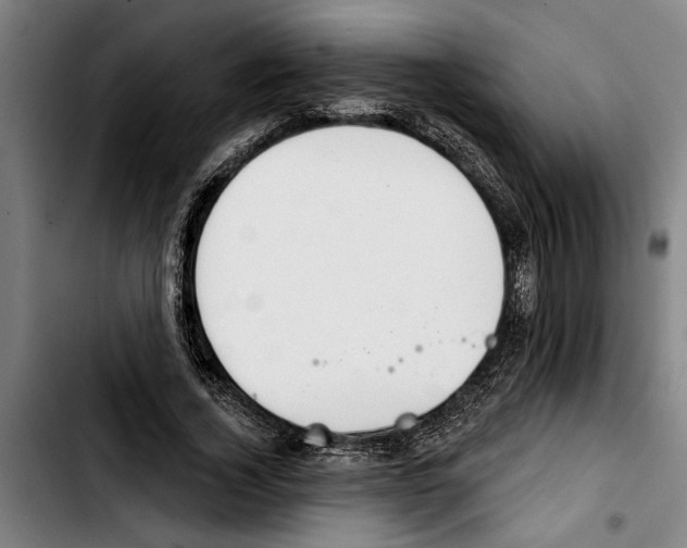 X0000103400732200810241010