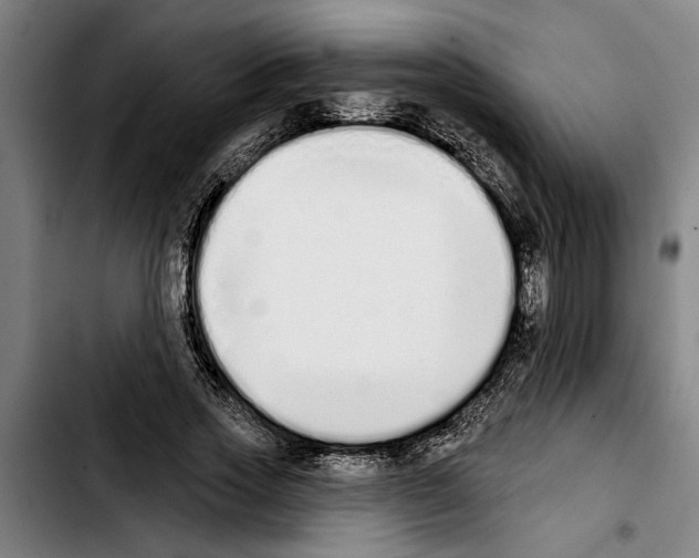 X0000103400733200810241010