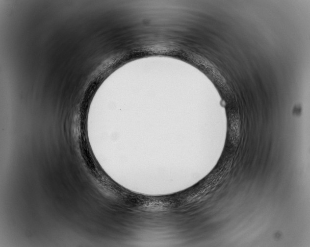 X0000103400734200810241010