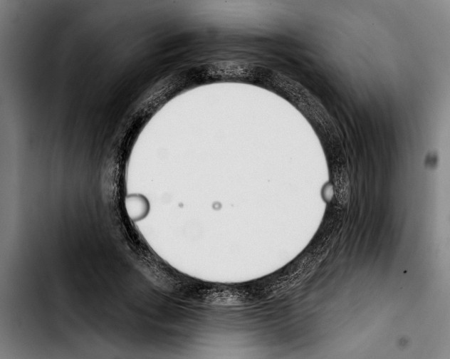 X0000103400735200810241010