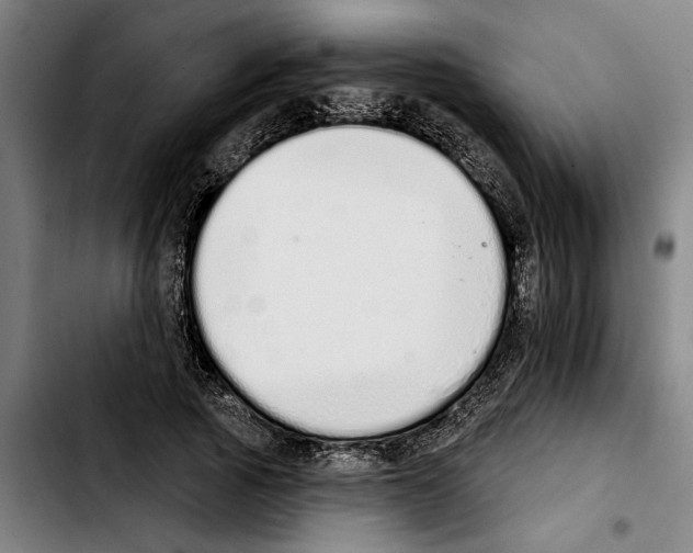 X0000103400737200810241010