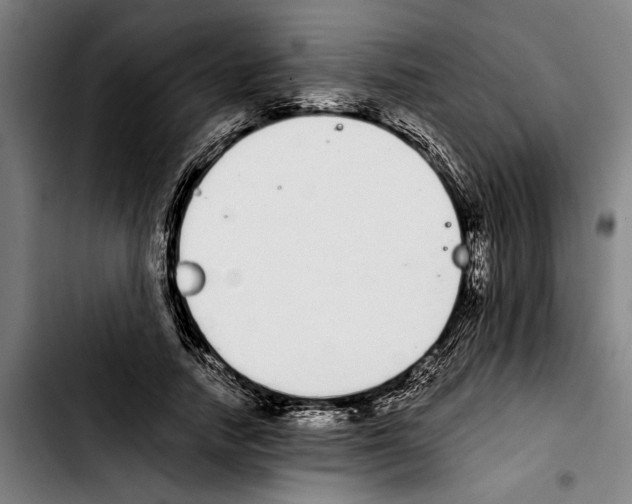 X0000103400738200810241010