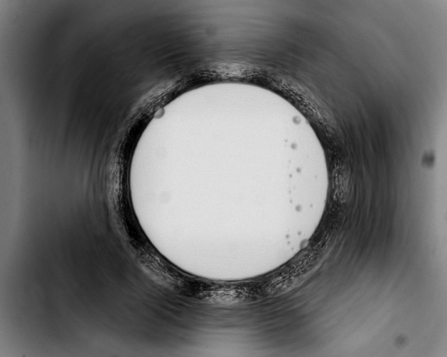 X0000103400740200810241010