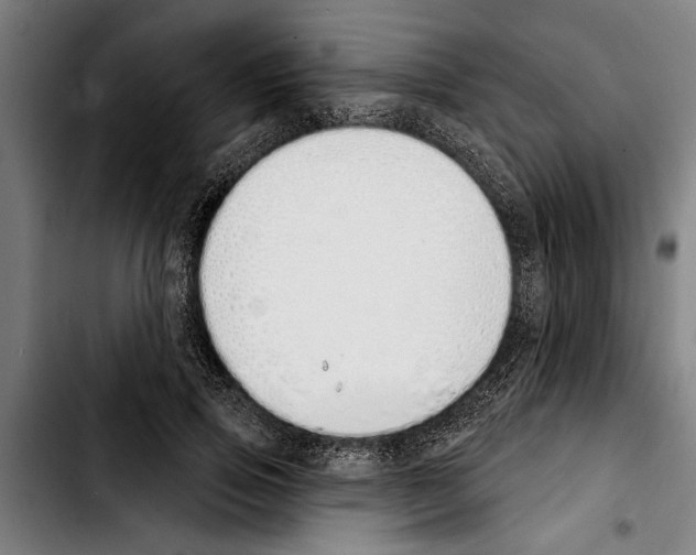 X0000103400741200810241010