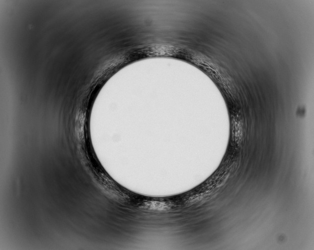 X0000103400742200810241010