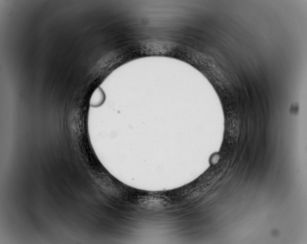 X0000103400743200810241010