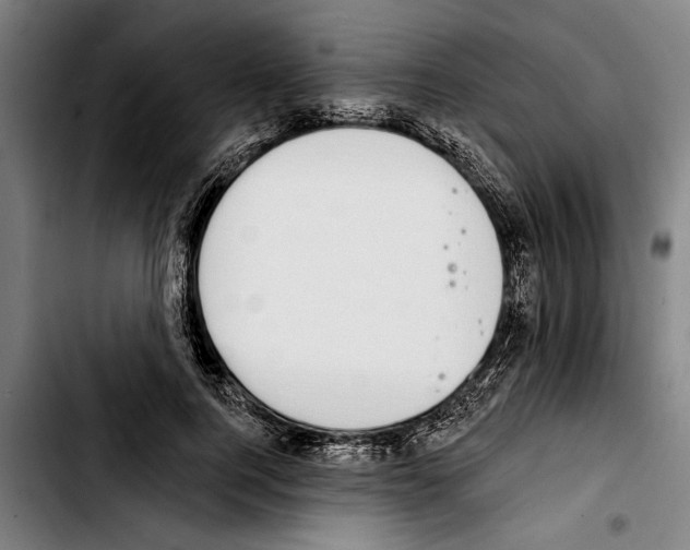 X0000103400744200810241010