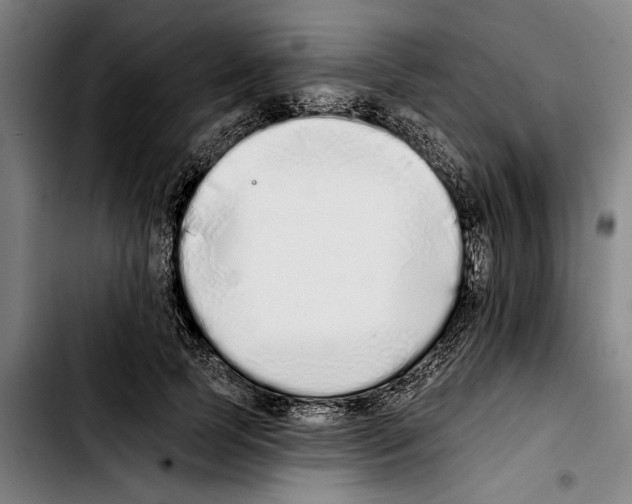 X0000103400745200810241010